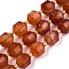 Natural Agate Beads Strands G-T131-82B-13-1