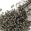 TOHO Round Seed Beads SEED-JPTR08-0757-1