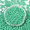 Opaque Acrylic Beads SACR-A007-01C-23-2