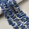 Natural Kyanite Beads Strands G-L649-A01-01-1