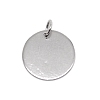 201 Stainless Steel Flat Round Tag Pendants STAS-WH0025-21B-1