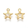 201 Stainless Steel Charms STAS-B001-28A-G-2