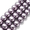 Shell Pearl Beads Strands BSHE-F013-01C-1