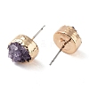 Flat Round Natural Druzy Agate Stud Earrings EJEW-L168-05B-2