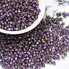 Glass Seed Beads SEED-H002-B-D214-1