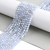 Natural Blue Lace Agate Beads Strands G-K366-B02-02-3
