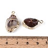 Electroplate Natural Sea Shell Pendants SSHEL-T017-44-3