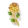 Fashion Golden Zinc Alloy Enamel Pins JEWB-D068-01G-05-1