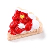 Resin Decoden Cabochons CRES-P020-03F-02-4