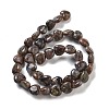 Natural Glaucophane Beads Strands G-R190-10mm-36-3