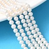 Natural Cultured Freshwater Pearl Beads Strands PEAR-I007-07Q-06C-1