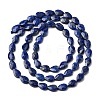 Natural Lapis Lazuli Beads Strands G-B159-A01-3