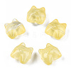 Transparent Spray Painted Glass Beads GLAA-N035-034-C05-2