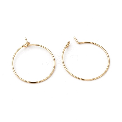 316L Surgical Stainless Steel Hoop Earring Findings STAS-G229-07G-04B-1