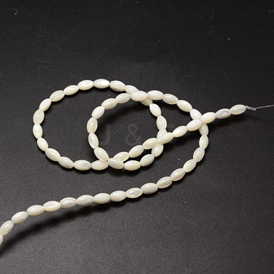 Natural Trochid Shell/Trochus Shell Beads Strands X-SSHEL-K008-06-1