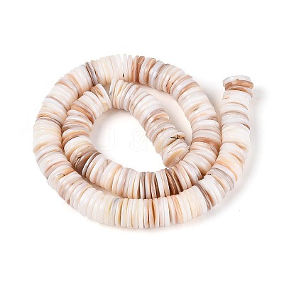 Natural Freshwater Shell Beads Strands SHEL-N037-03B-01-1