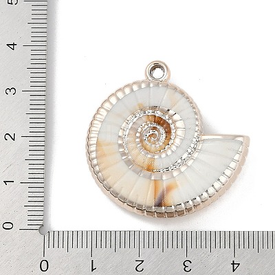 Plating Acrylic Pendants OACR-F012-06I-1