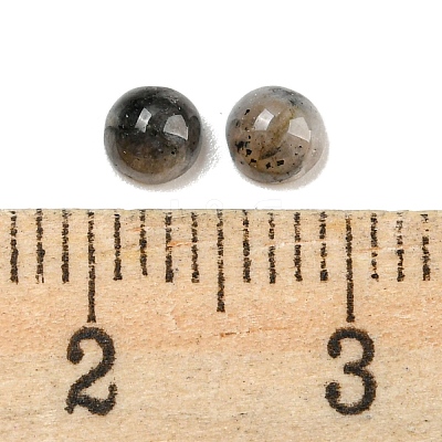 Natural Labradorite Cabochons G-H309-03-39-1
