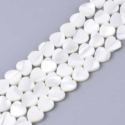Natural Trochid Shell/Trochus Shell Bead Strands X-SSHEL-N034-67-1