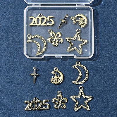 12Pcs 6 Styles Alloy Pendants FIND-FS0003-38G-1