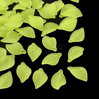 Transparent Acrylic Pendants X-FACR-R007-11-1