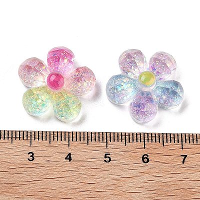 Transparent Resin Decoden Cabochons RESI-M045-03-1