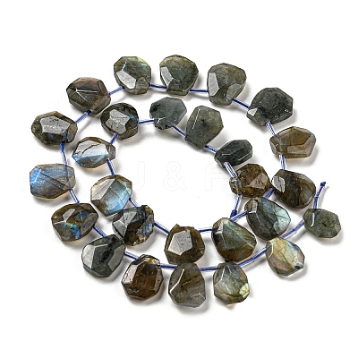 Natural Labradorite Beads Strands G-Z040-A03-01-1