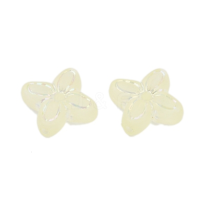 Frosted Transparent Acrylic Beads OACR-P029-09B-03-1