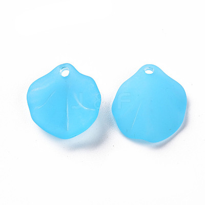 Transparent Frosted Acrylic Pendants MACR-S371-02A-755-1