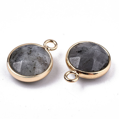 Natural Labradorite Pendants G-T131-101A-1