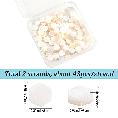 2 Strands Natural Freshwater Shell Beads Strands SSHEL-SC0001-36B-1