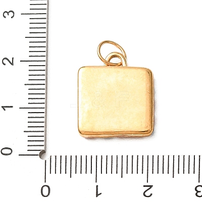 Printed 304 Stainless Steel Pendants SA-CBAAB49-03G-01-1