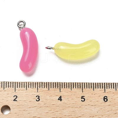 Imitation Food Resin Pendants RESI-M036-01-1