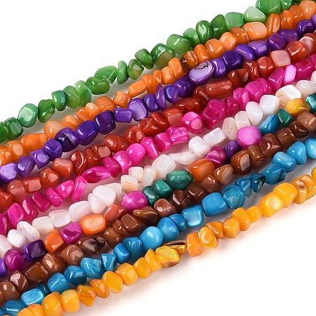 Natural Freshwater Shell Beads Strands SHEL-N037-04A-1