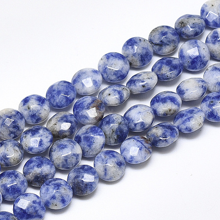 Natural Blue Spot Jasper Beads Strands G-S357-F06-1