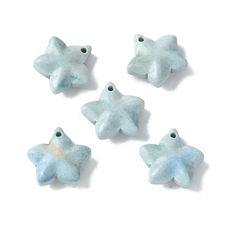 Natural Rainbow Alashan Agate Charms G-G194-02A-1