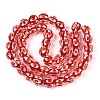 Handmade Lampwork Beads Strands LAMP-N028-20F-2