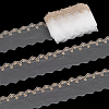 10 Yards Polyester Lace Trim OCOR-ME0001-06-1
