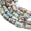 Natural Larimar Beads Strands G-F836-B09-01-2
