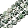 Natural Green Spot Jasper  Beads Strands G-M403-A22-03-2