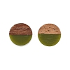Opaque Resin & Walnut Wood Stud Earrings EJEW-N017-008-B08-4