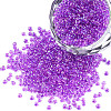 8/0 Glass Seed Beads SEED-A016-2mm-213-01-1