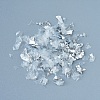 Plastic Candy Sequins/Paillette Chip DIY-I019-02M-2