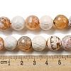 Faceted Natural Fire Crackle Agate Beads Strands G-F447-12mm-H04-5