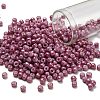 TOHO 6/0 Round Beads SEED-TR06-1202-1