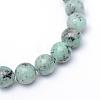 Natural Sesame Jasper/Kiwi Jasper Bead Strands G-R345-10mm-12-2