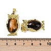 Natural Tiger Eye Pendant KK-F887-02G-07-3