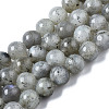 Natural Labradorite Round Beads Strands X-G-S158-6mm-1