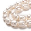 Natural Cultured Freshwater Pearl Beads Strands PEAR-L033-78-2