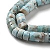 Natural Larimar Beads Strands G-Q024-B03-05-4